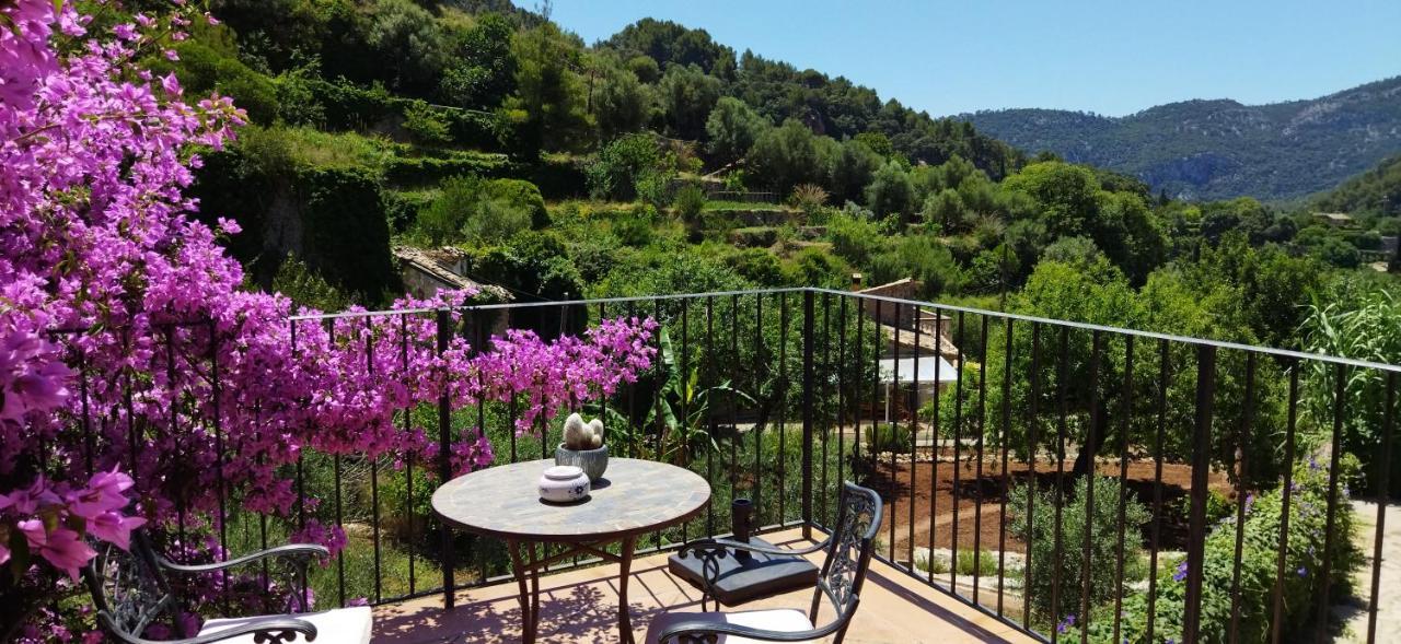 Sa Vall Valldemossa المظهر الخارجي الصورة