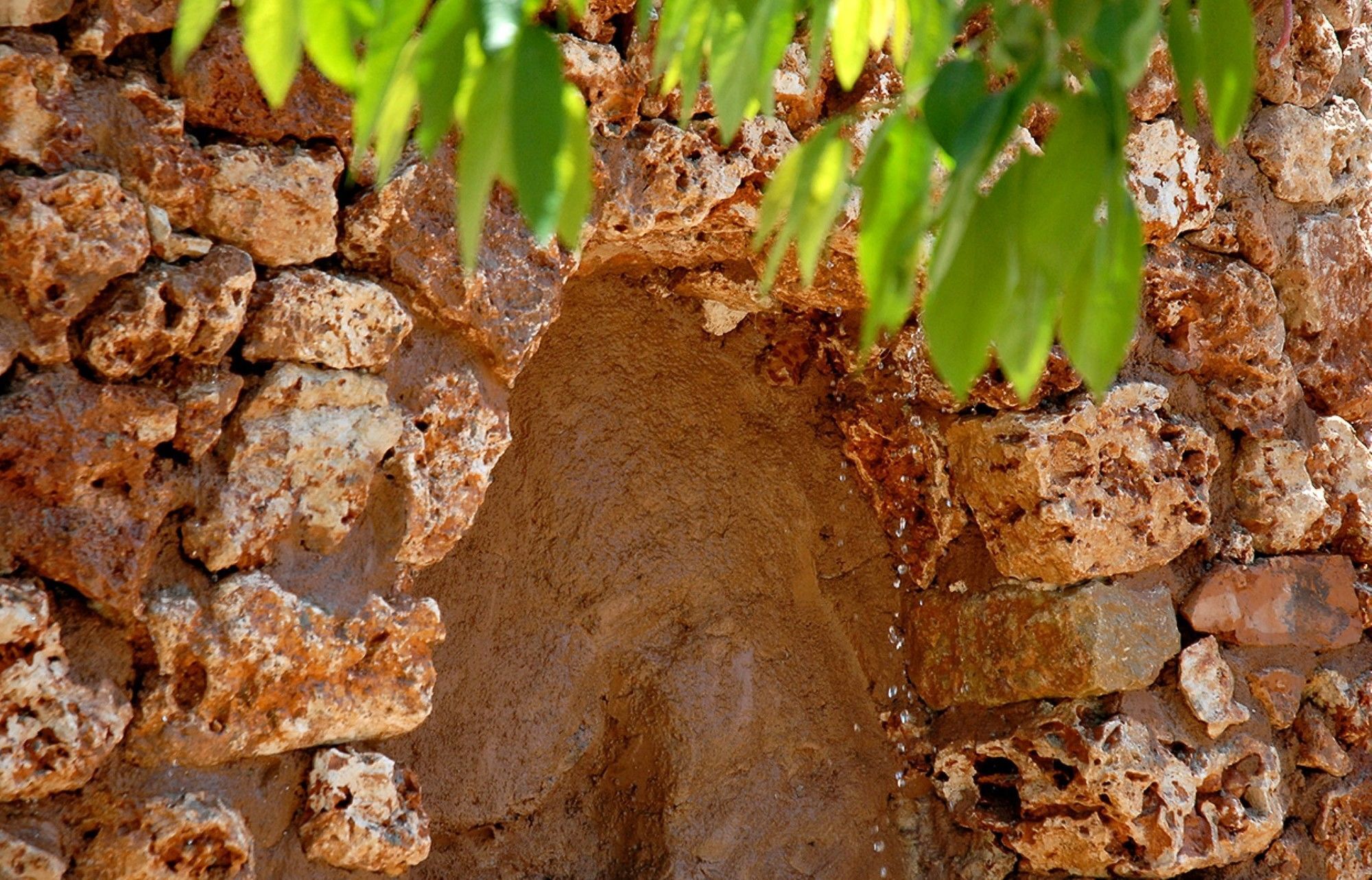 Sa Vall Valldemossa المظهر الخارجي الصورة