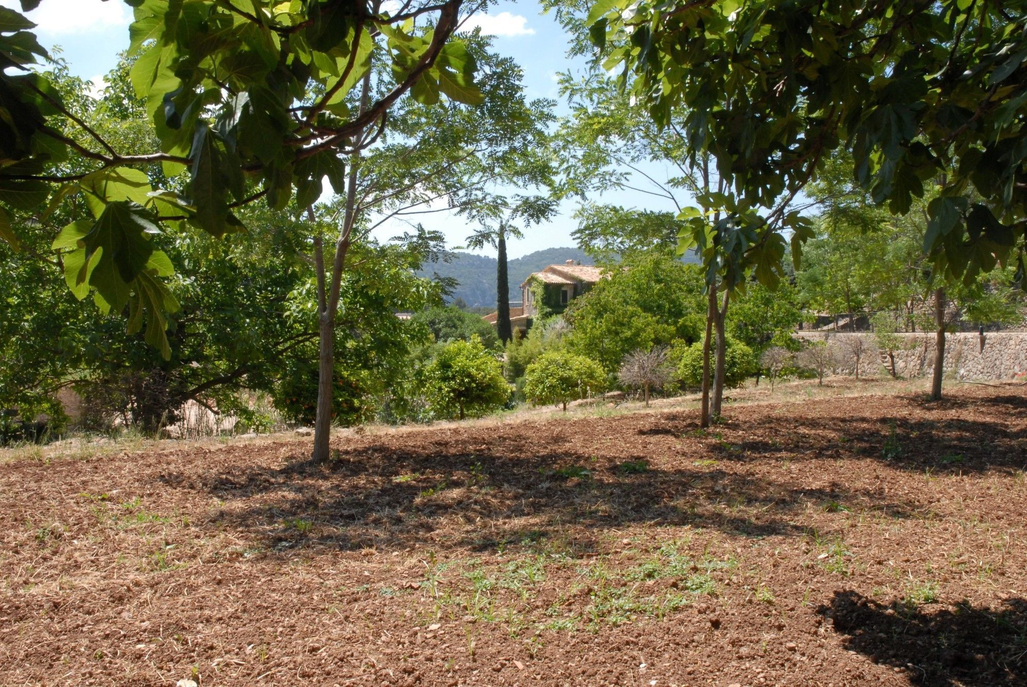 Sa Vall Valldemossa المظهر الخارجي الصورة